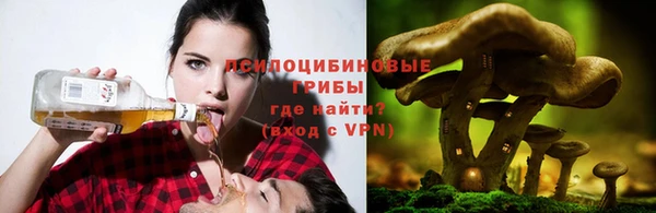 герыч Алексеевка
