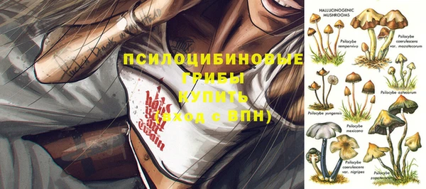 амф Алексин