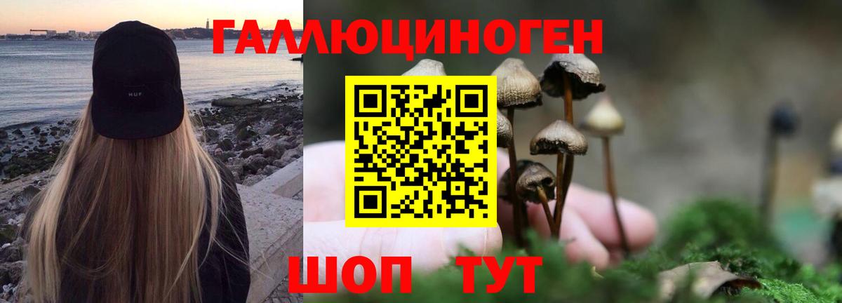 Псилоцибиновые грибы Psilocybe  Галлюциногенные грибы MAGIC MUSHROOMS  Пенза  Вход с VPN 