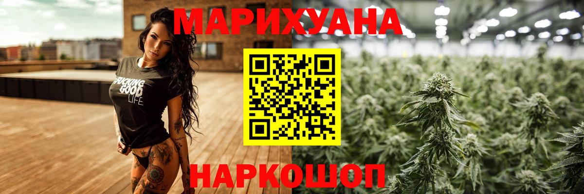 Пенза  Каннабис тримм  Шишки марихуана планчик  Вход с VPN  Бошки марихуана индика  МАРИХУАНА семена 